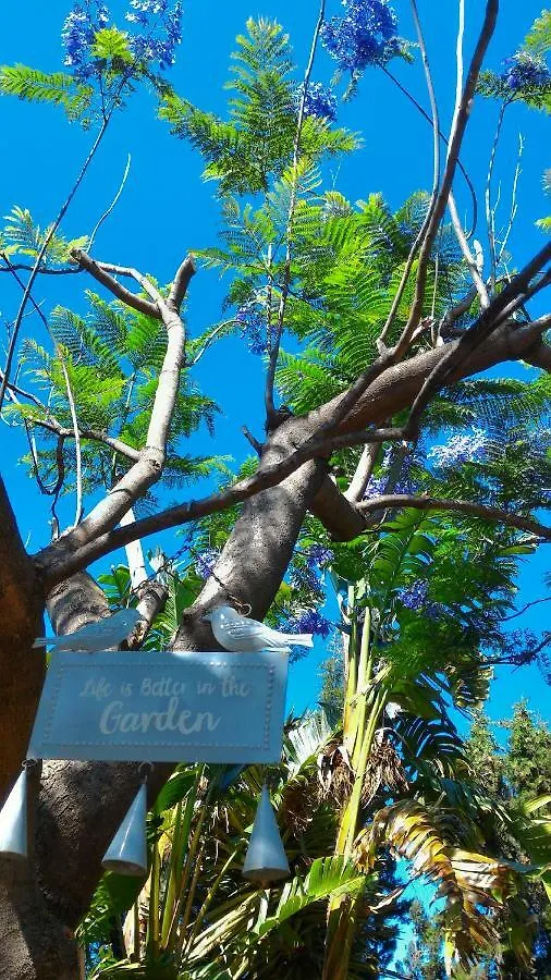 Holiday home Hacienda Sol Trapiche Villa